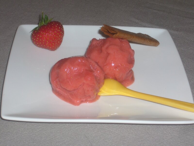 sorbet fraise rhubarbe