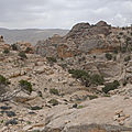 P1010007