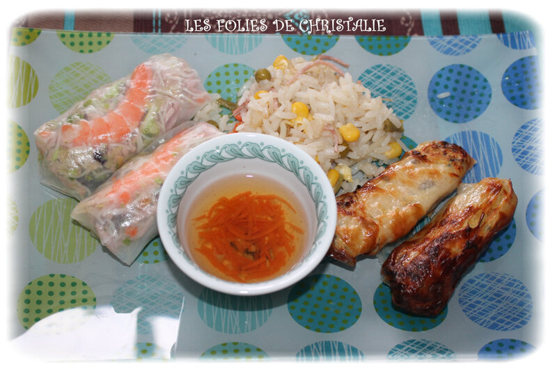 Nems poulet 9