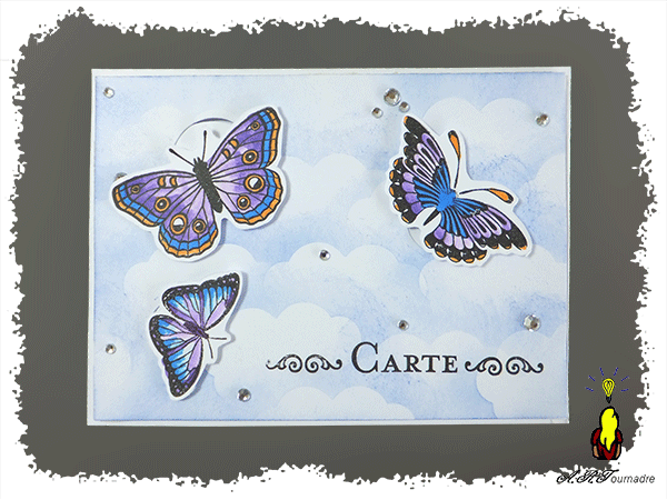 ART 2019 05 bee-happy-papillons