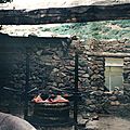 Image (18)