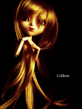 Colibrie_55