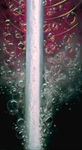 PDVD_006