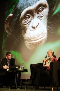 AP_Chimpanzés-46
