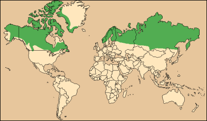 Carte des regions où vit le renne.