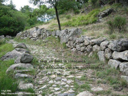 2006__119_