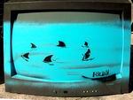 20110922SharksPoubelleLaViePixPedroWeb006