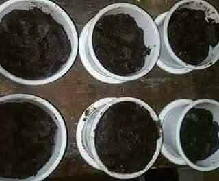 savon-noir-de-fortune-du-grand-maitre-marabout-rituel
