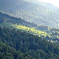 Un puits de lumière glisse sur la prairie-sapinière de Barlagne...