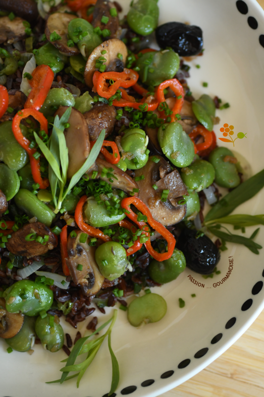 Salade riz rouge, fèves, champignons de Paris, poivron, oignon_4