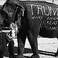 Un ( éléphant ) républicain ...