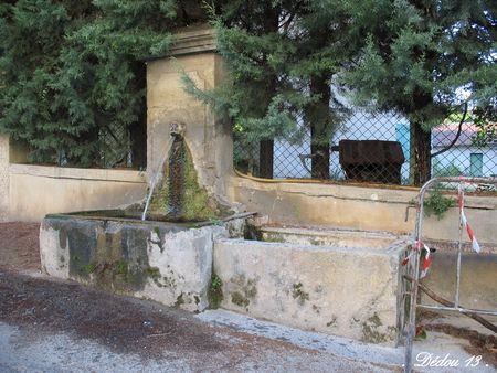 47_Photo_184