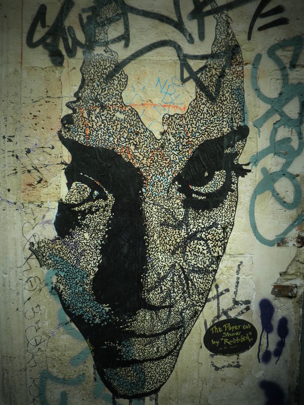 The paper cut show by "Rubbish" Cube in the street Street, Arts