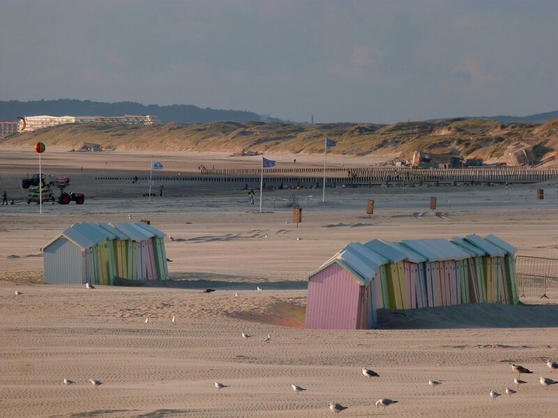 Berck 8