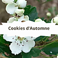 4 Aubépine Cookies d'Automne