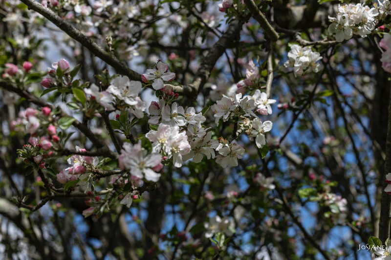 09042019-_MG_5193