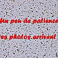 Z-9903 Roulez carrosses !