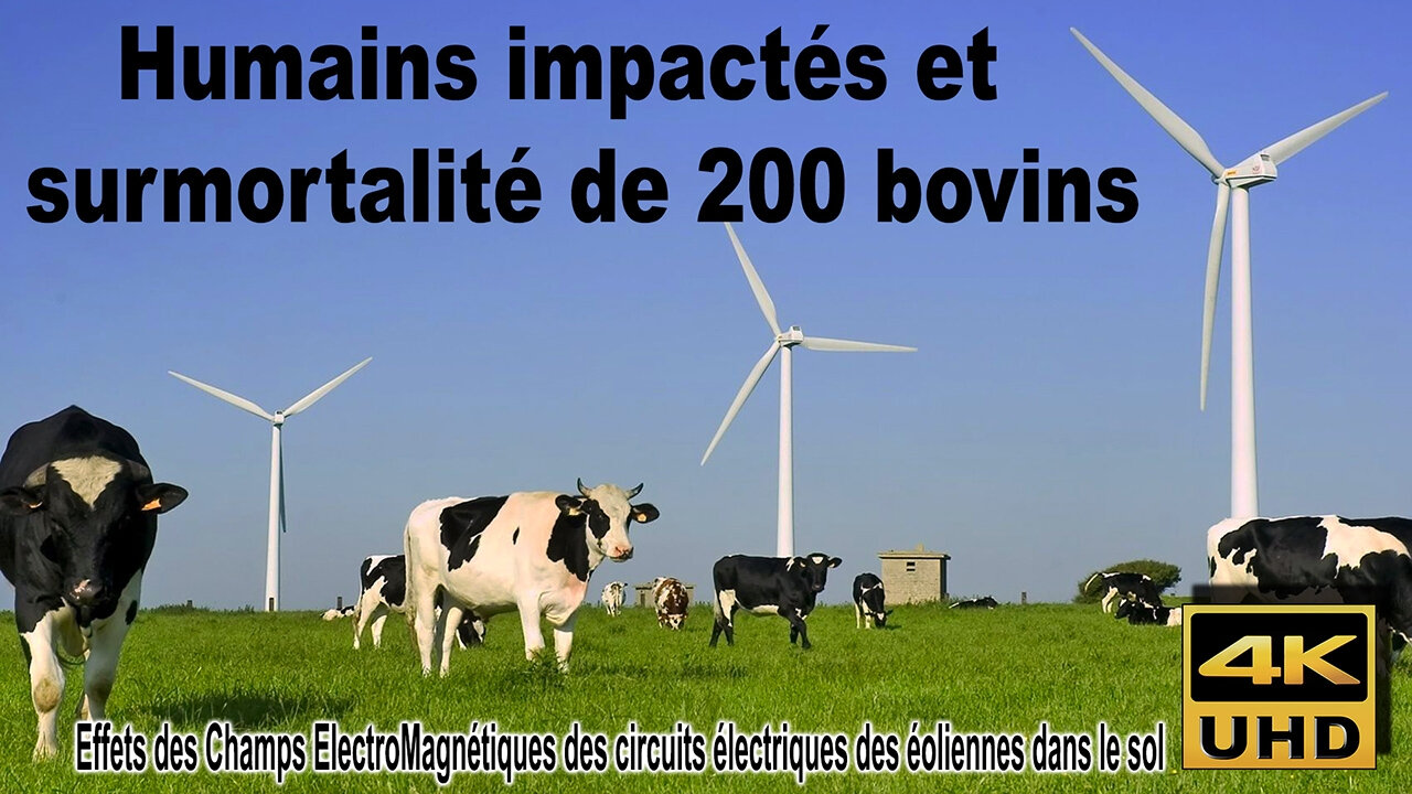 Encore un projet d'éoliennes mis sur pause en Basse-Meuse - La