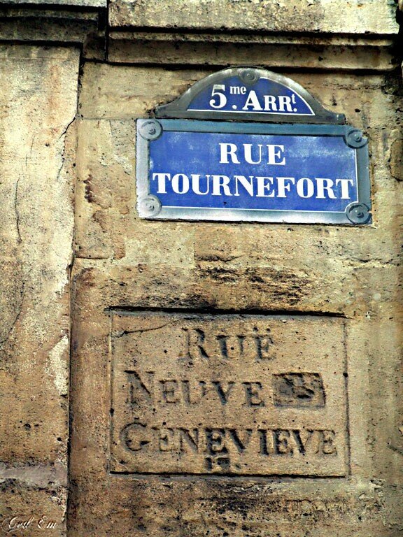Rue tournefort