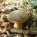 DSC05195