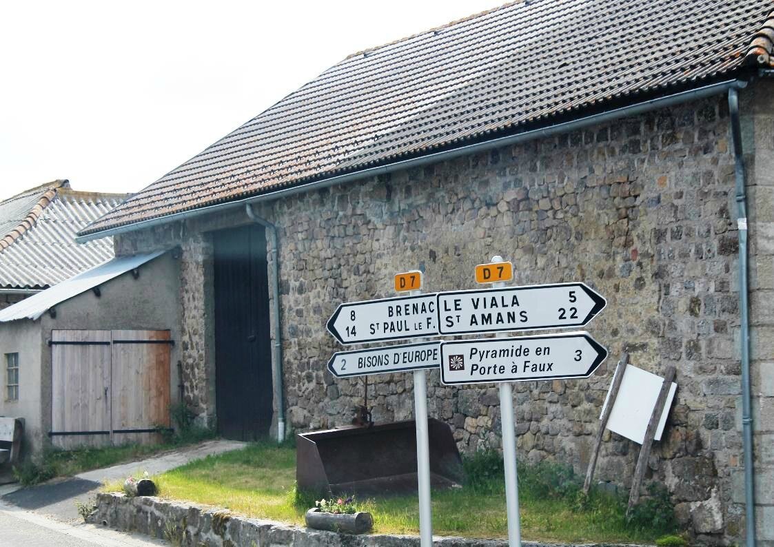 A la réserve de bisons de SainteEulalie en Margeride Dans Ma