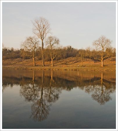 QM_reflets_arbres_matin_jogger_110109