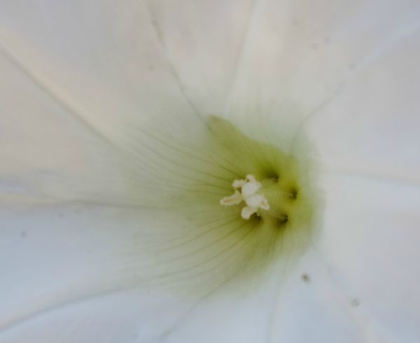 IMG_2013_07_30_3014_DxO