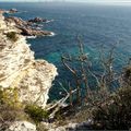 Au loin, les Îles Lavezzi, le Cimetière Marin