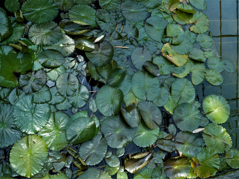 130