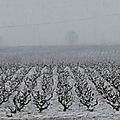 Bonjour la neige avec la pensée du jour ... quelques photos personnelles .