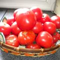 des tomates en abondance