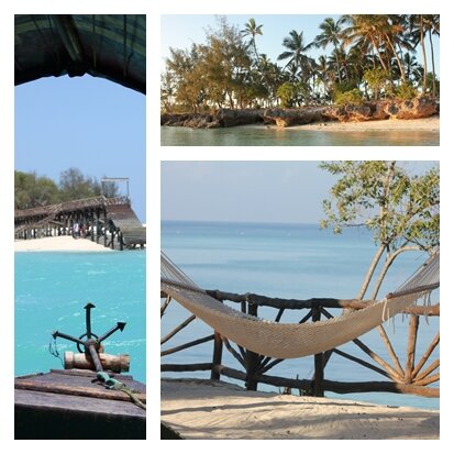 dolphine_bay_kim