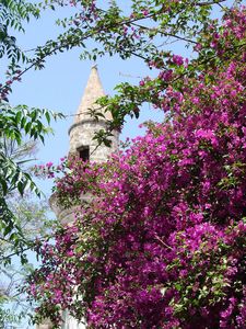 Rhodes_l__glise_Saint_Spyridon_6