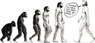 Singe-HommeEvolution