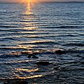 IMG_1903 - Copie