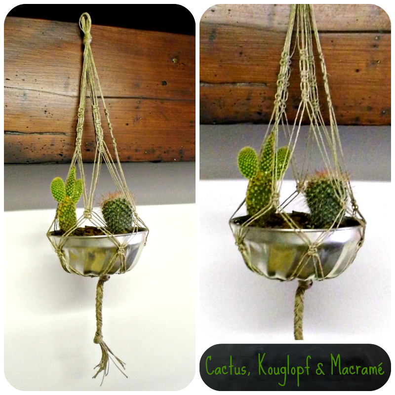 Cactus et macramé
