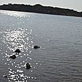 _DSC0350
