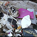 LA_DUNE_INFESTEE__LA_BIODIVERSITE_MENACEE_LA_CHA_NE_ALIMENTAIRE_SOUILLEE_