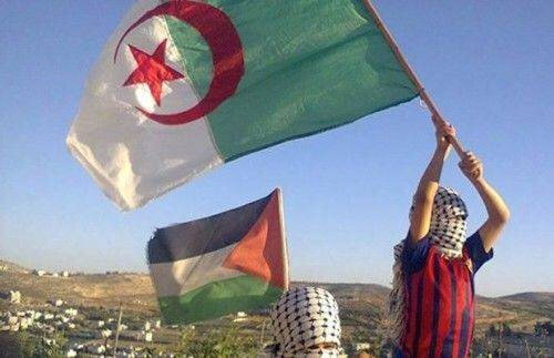 algérie-palestine