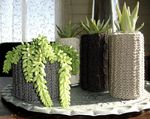 CIMG0573_1