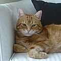 Adlabert 122018 2