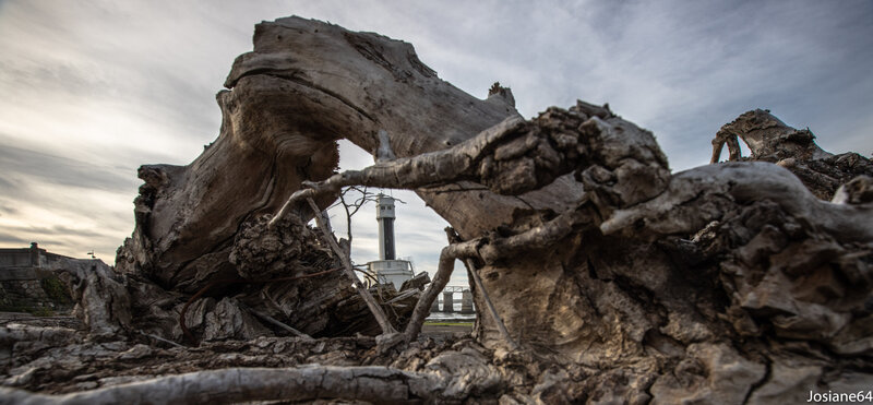 13102018-_MG_4735