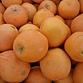 oranges