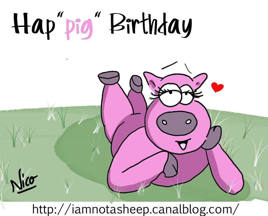 A Pig Birthday 3 I Am Not A Sheep
