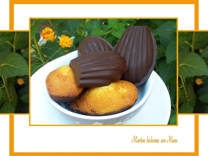madeleines avec ou sans chocolat (Gaston Lenôtre) madeleines avec ou sans chocolat (Gaston Lenôtre)