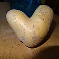 Love patate