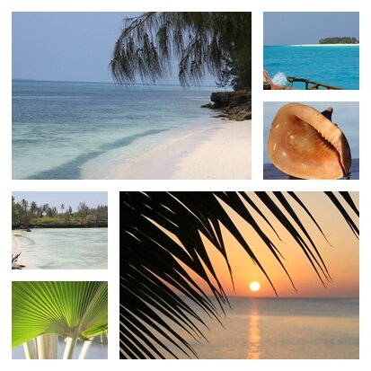 dolphine bay lodges kim