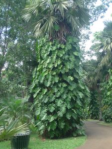 P1110093