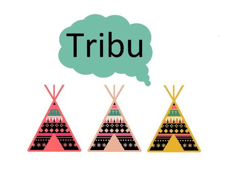 logo tribu XL1