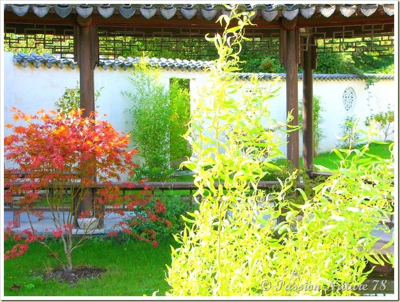 Le jardin Yili (13)